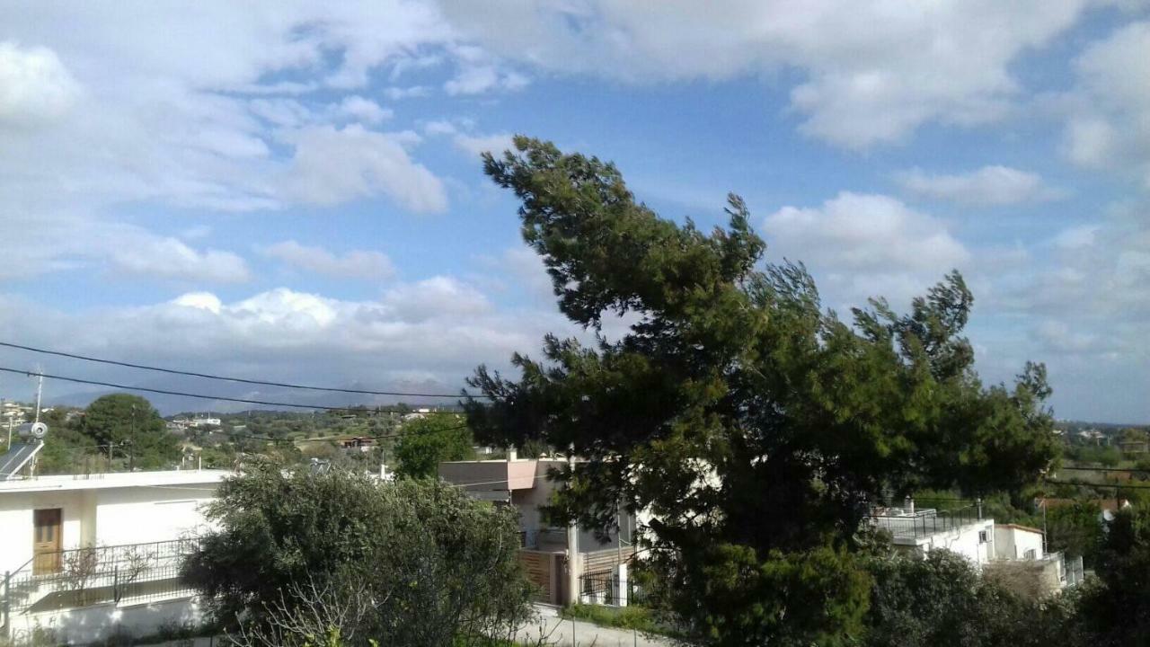 Shades Of Green Αρτέμιδα Εξωτερικό φωτογραφία